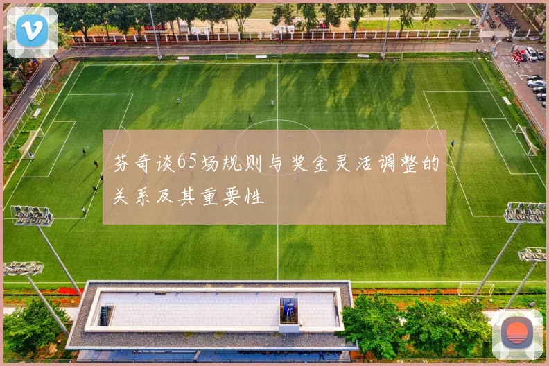 芬奇谈65场规则与奖金灵活调整的关系及其重要性