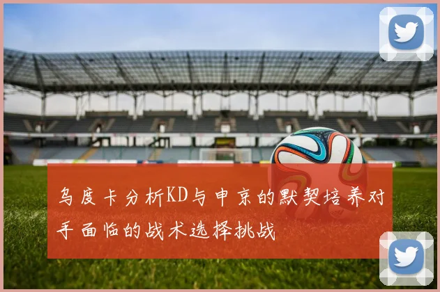 乌度卡分析KD与申京的默契培养对手面临的战术选择挑战