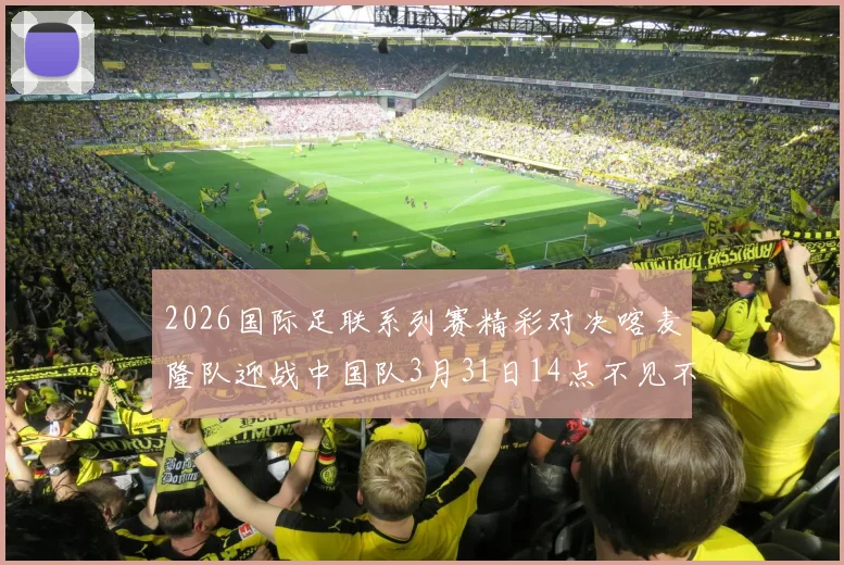 2026国际足联系列赛精彩对决喀麦隆队迎战中国队3月31日14点不见不散